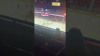 Calgary flames goal horn live [upl. by Carce725]