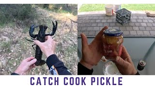 First marron catch cook and pickle for marron season 2024 [upl. by Ignatz]