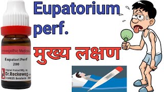 Eupatorium perfoliatum 30 ch 200ch uses in hindi Homeopathic master [upl. by Lladnyk]