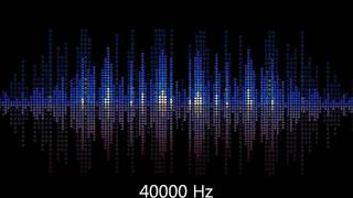 Test your hearing 40000 Hz whistle [upl. by Nedra]