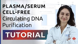 DNA Purification Tutorial  PlasmaSerum CellFree Circulating DNA [upl. by Kyre]