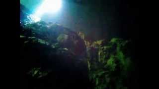 Bonne Terre Mine Scuba Diving Trail 1 [upl. by Tegirb880]