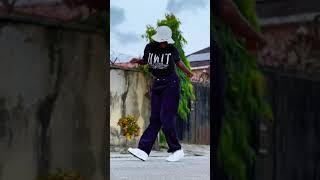 Sturdy dance dance sturdy sturdydance viral explore foryou electrobabby [upl. by Nallad]