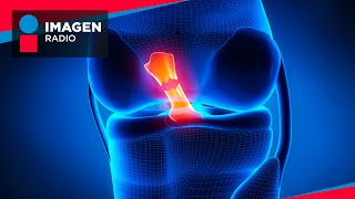 Lesión de ligamento cruzado anterior en rodilla  Bien y Saludable [upl. by Iturhs]