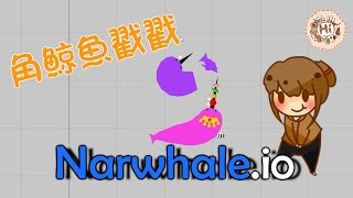 【巧克力】『Narwhaleio：鯨魚戳戳』 － 戳戳角鯨魚 介紹 [upl. by Brenden]