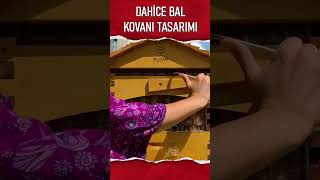 Dahice Arı Kovanı Tasarımı [upl. by Gilberte]