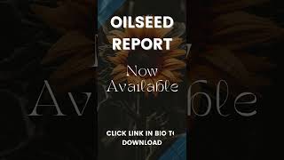 Oilseed Report  09 Sept 2024 [upl. by Patience]