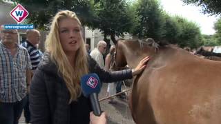 Paardenmarkt van Voorschoten [upl. by Angil]