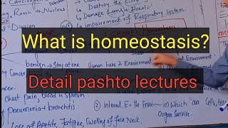 Homeostasisclass 12 biologypashto detail lectures [upl. by Alexandro]