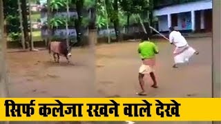 Man challenges Angry Bull in India Bullfight [upl. by Parthena615]