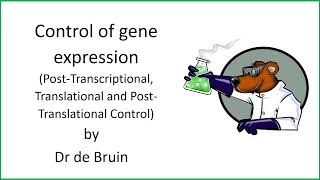 611 Chapter 19  Control of gene expression  PostTranscriptional control [upl. by Michella]