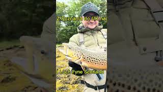 Loch Fyne Scotland fishing Sea Trout Pollock Mackerel amp Sea Creatures [upl. by Boynton691]