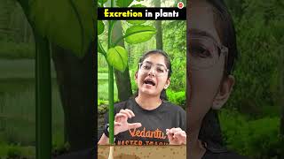 How do Plants Excrete  Excretion in Plants  Life Processes Class10 Science Biology CBSE2024 [upl. by Jada229]