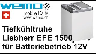 Tiefkühlbox für Speiseis 12 Volt Transport Kühlbox Eiscreme Batteriebetrieb Liebherr EFE 1500 [upl. by Hras]