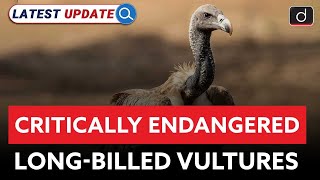 Critically Endangered LongBilled Vultures  Latest Update  Drishti IAS English [upl. by Anivad]