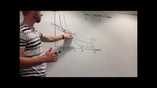 Explanation of Income and Substitution Effects [upl. by Anaile367]