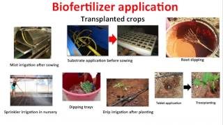 Using Biofungicides Biostimulants and Biofertilizers [upl. by Simmie]