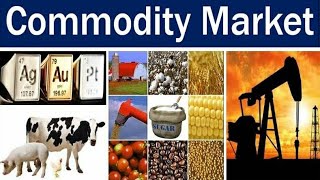 Commodity Market Participants [upl. by Geithner]