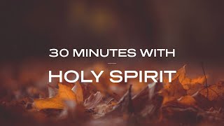 30 Minutes With Holy Spirit Deep Prayer amp Prophetic Worship Music [upl. by Light154]