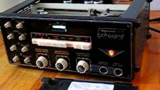 Dynacord Echocord S65 echoes part 4 [upl. by Notsae]