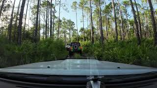 Apalachicola National Forest 313D loop [upl. by Ymmac]