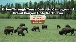 DeMotte Campground  Grand Canyon North Rim  DriveThru Tour [upl. by Ardnwahsal65]