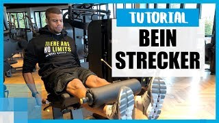 Beinstrecker Dos amp Donts – Anleitung für effektives Beintraining 🏋️‍♀️ [upl. by Cosimo]