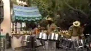 Disneyland Adventureland TampT Steel Drum Band ICSCN Day 1999 [upl. by Puri692]