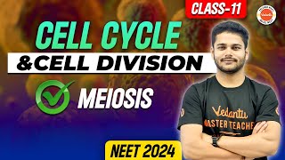 Cell Cycle And Cell Division Class 11 In One Shot  Meiosis  NEET Biology  NEET 2425 [upl. by Nealey]