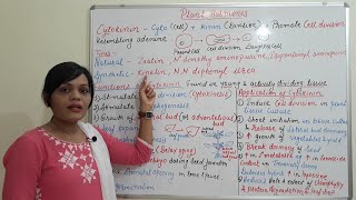 Class 25  Cytokinin  Introduction Function amp Application Types of Plant Hormone Part 02 [upl. by Veronique]