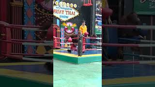 Orangutan Muay Thai Show Behind the Scenes Please Read Description [upl. by Fatma]