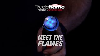 Meet The Flames  Tradeflame Professional Auto Ignition Series [upl. by Clementina]