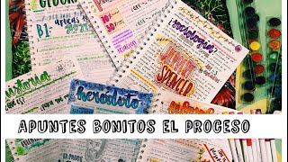 APUNTES BONITOS  el proceso de mis notas  karlasnotes [upl. by Dulcy]