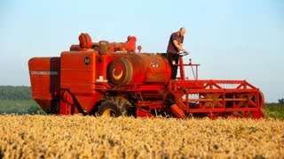 Classic Combine Week 6 Massey Ferguson 510 [upl. by Nomed]