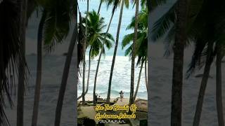 See The Beauty Of Andaman Islands  Vlog Andaman andaman shorts travel tourism travel viral [upl. by Darda]