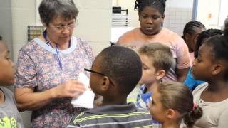 Caroline LLC Federalsburg Elementary Afterschool Program [upl. by Riess]