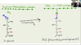 Carbohydrate nutrition biochemistry part 1 AGEs [upl. by Llednik]