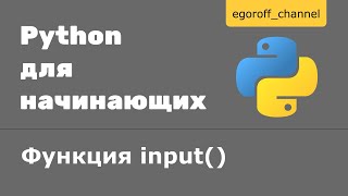 5 Ввод и вывод данных python Команда input [upl. by Noyerb891]