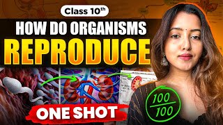 CLASS 10 HOW DO ORGANISMS REPRODUCE  BIOLOGY CLASS 10  SHUBHAM PATHAK science cbseclass10 bio [upl. by Wickman]