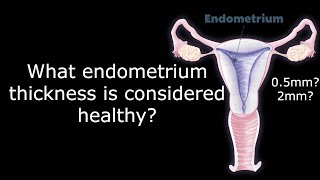 What is a healthy endometrium thickness  The Menstrual Cycle  Antai Hospital [upl. by Brigette]