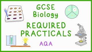 All BIOLOGY Required Practicals  GCSE Science AQA [upl. by Jacobs]