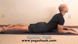 Sphinx Pose Salamba Bhujangasana [upl. by Arno]