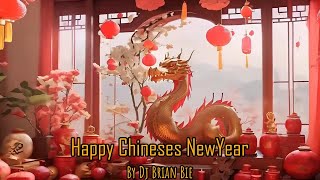 Nonstop Gong Xi Fa Chai Electro Manyao By Dj Brian Bie dj抖音版2024 remixmanyao [upl. by Farro905]