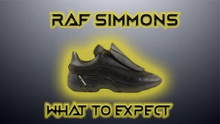 Raf Simons Antei low top sneaker runner review [upl. by Ennaeel]