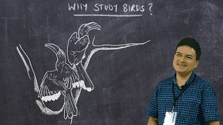 Basic Ornithology Why Study Birds [upl. by Notsgnik]