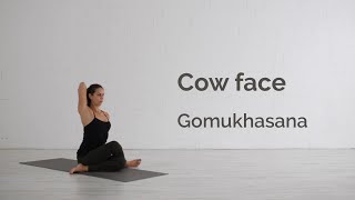 Cow Face Pose Gomukhasana Tutorial [upl. by Eniksre]