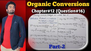 Conversion Reactions in Organic Chemistry  Important Conversions  Class 12 Chapter 12 Conversions [upl. by Nerine]