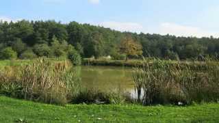 Wandern Franken Keller Karpfen KruzifixHallerndorf Kreuzberg und Aischgrund [upl. by Skippie24]