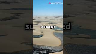 The Forgotten Ocean Beneath the Sahara Desert Ancient Sea Discovered shorts trending viralvideo [upl. by Bremble802]