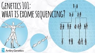 What is Exome Sequencing  Genetics 101  Ambry Genetics [upl. by Parfitt]